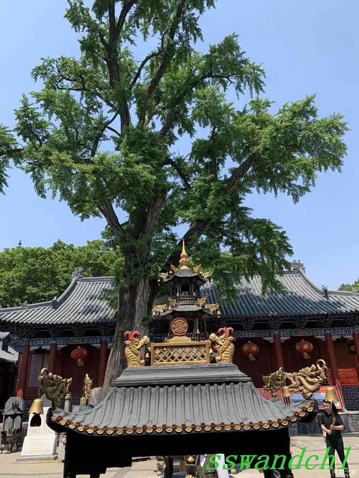 自驾游探访枣庄冠世榴园青檀寺