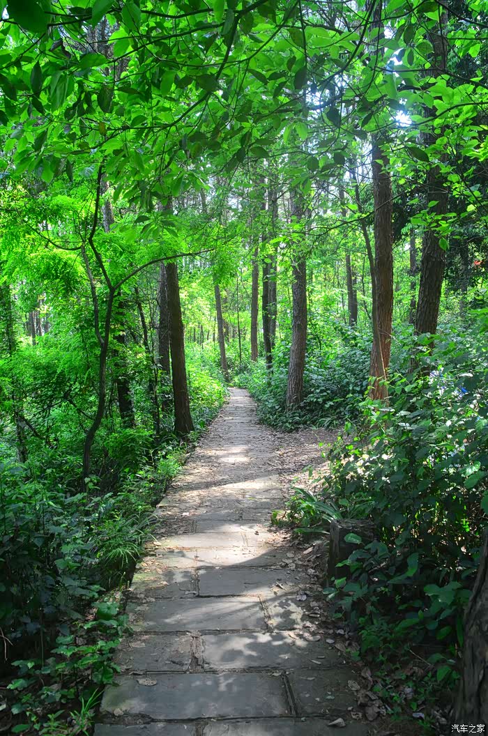 35plus陪伴我休闲游云篆山森林公园