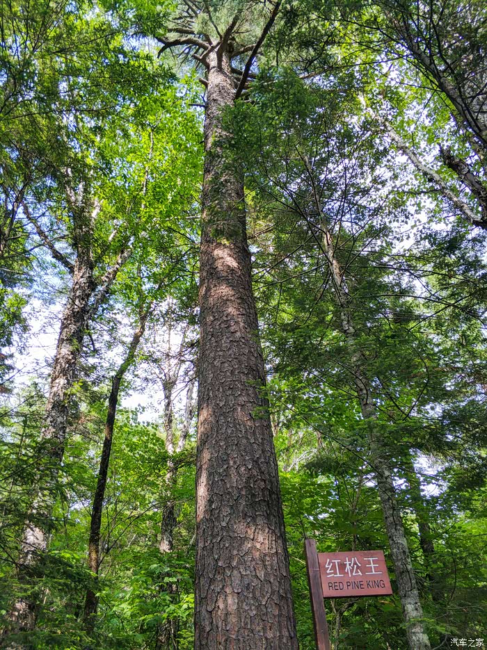 【六月大征集】悠游长白山