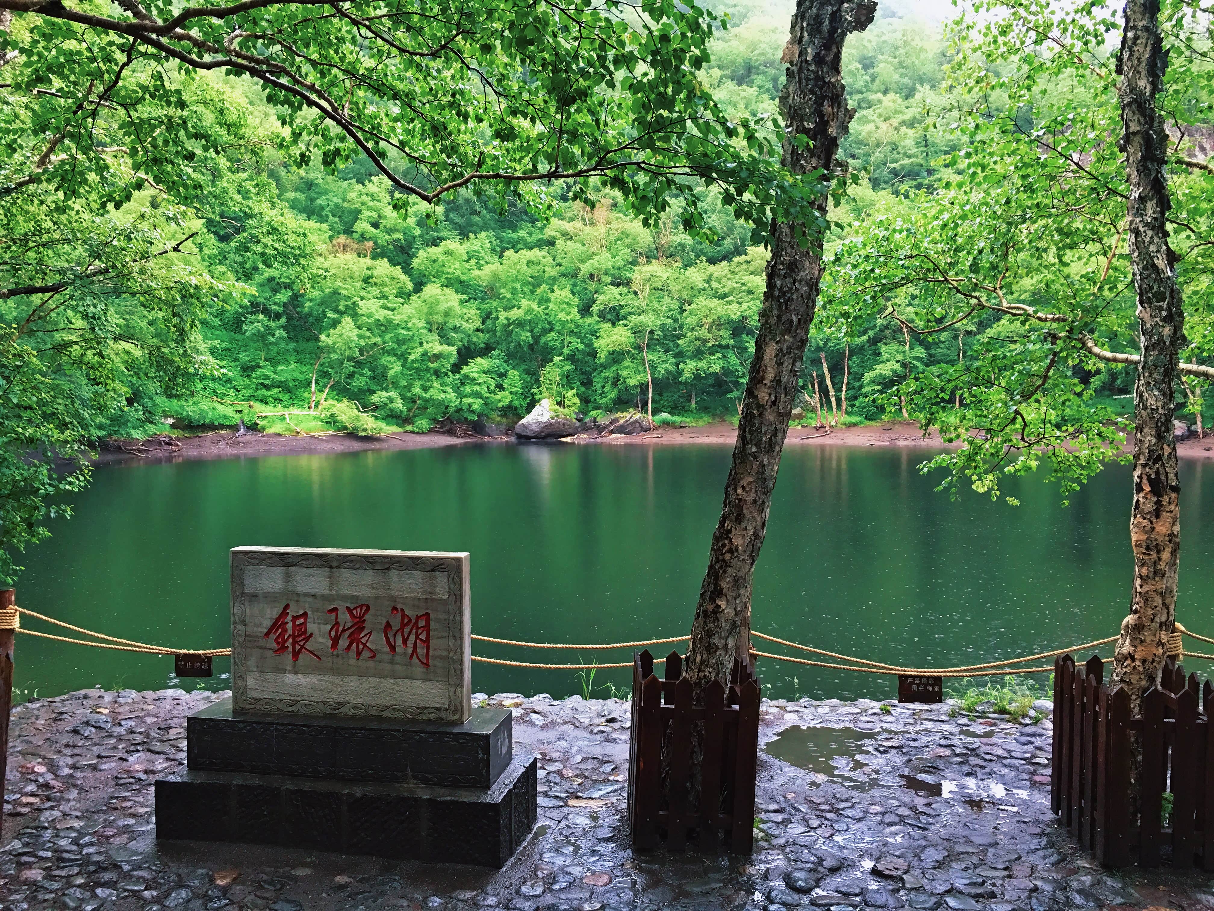 夏季租车自驾4天,长白山,白山市,长春,走错路的东北老林子深