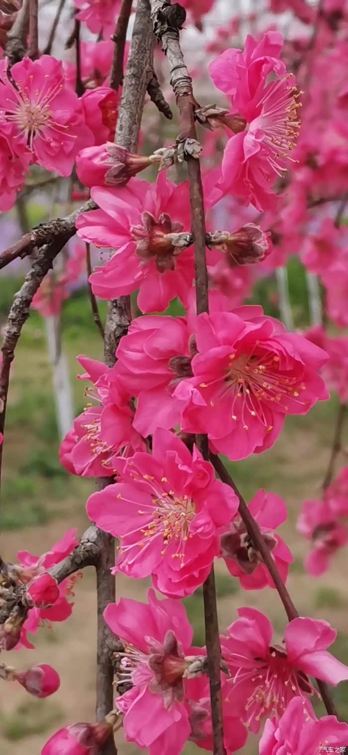 美好从新一年开始2021年第一次放风