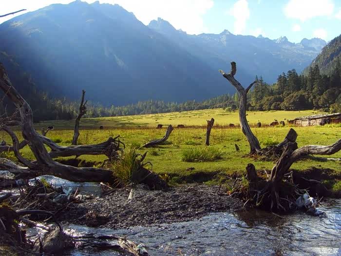 脱离凡尘的绝美