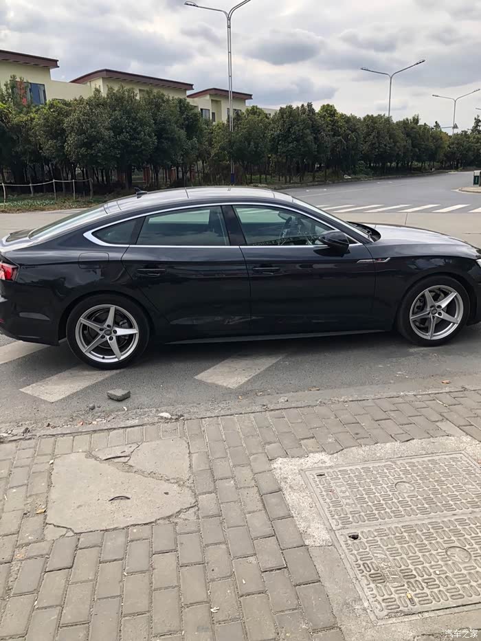 有没有人也是月光蓝呀      感觉本人的颜色好少鸭