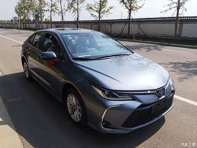 赏花赏月赏我的天青色双擎卡罗拉