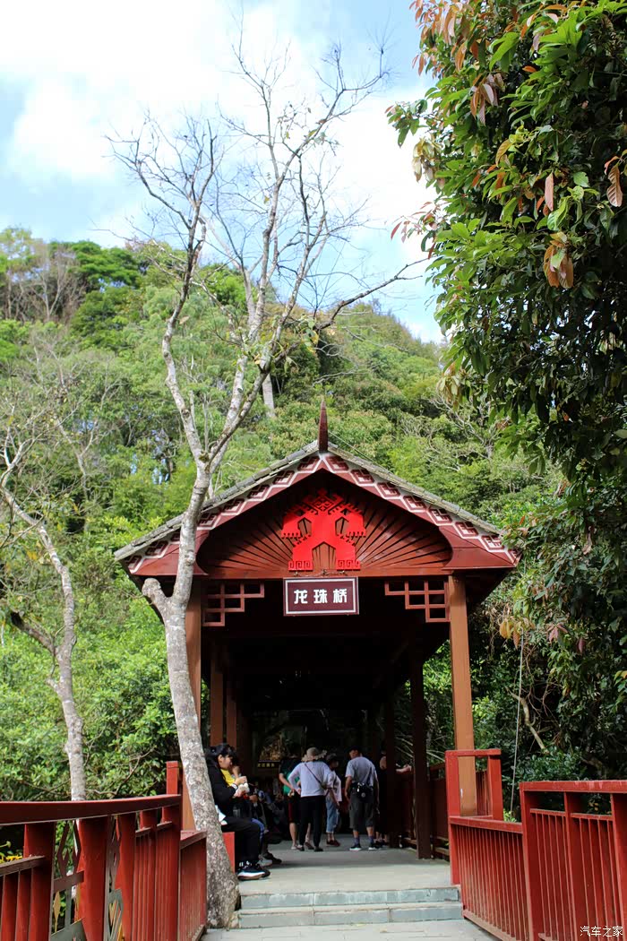 捷途旅行见闻海南琼中百花岭及五指山热带雨林风光