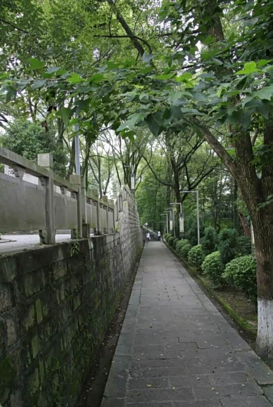 你们在高速路上堵车而我就厉害了在屿山公园悠闲游了一天