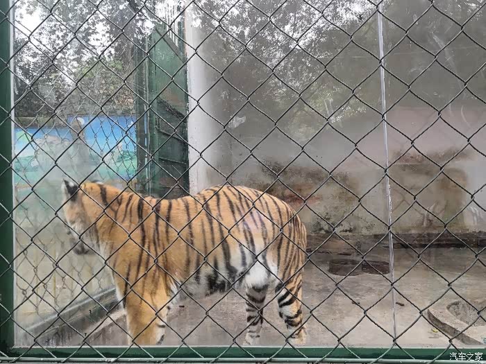 再来九江动物园