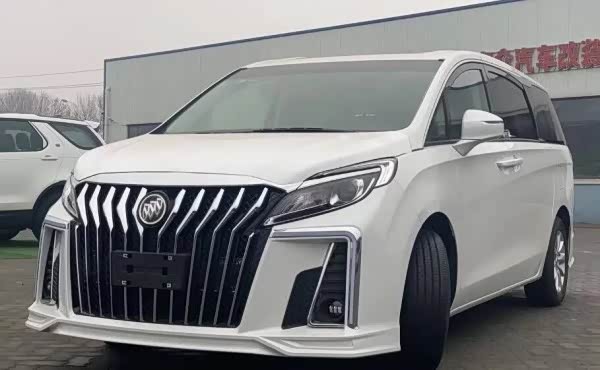 国产埃尔法别克gl8我的最爱