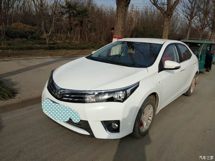 【图】周末带着孩子,看可爱的狗狗_卡罗拉论坛_汽车之家论坛