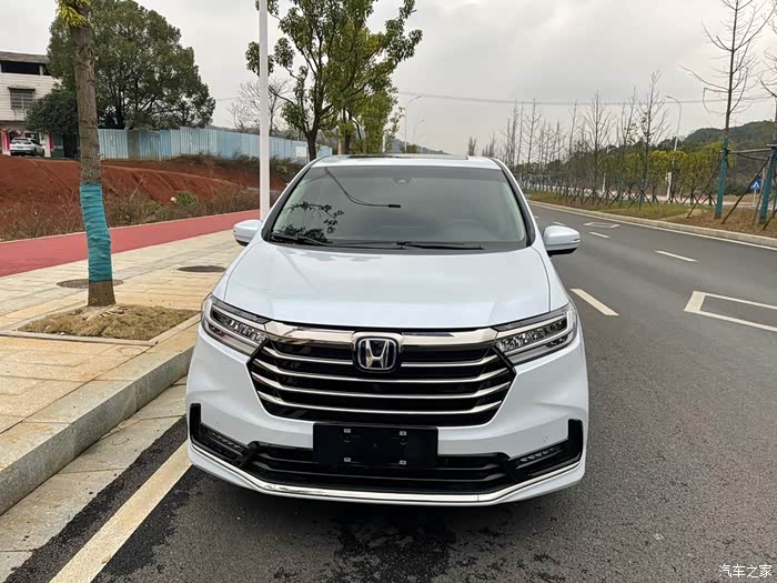 提新奥德赛格陵兰白