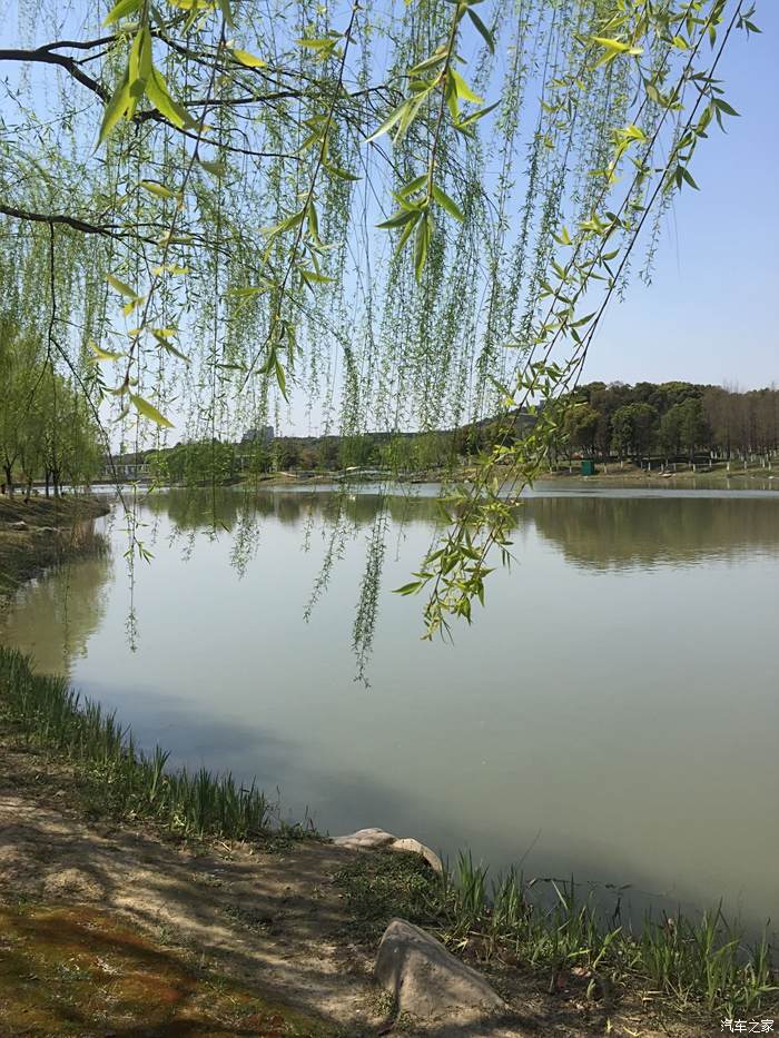 踏春遊芙蓉湖公園