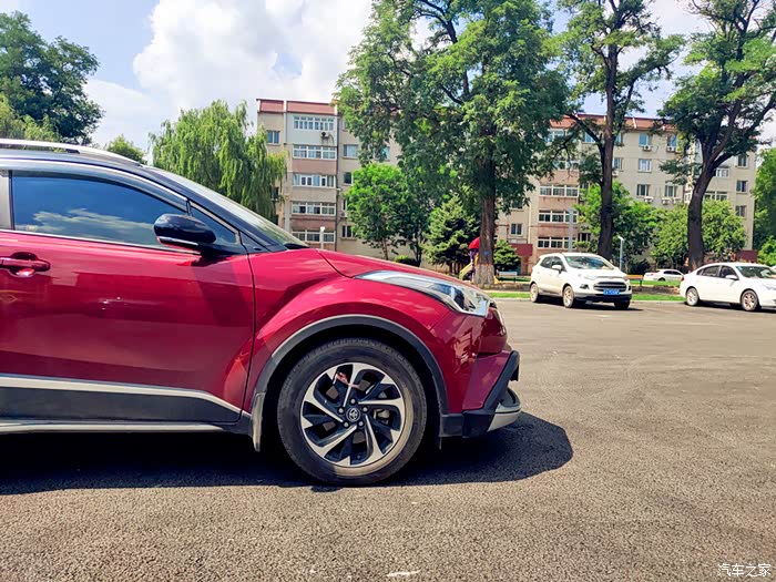 绿茵树下好乘凉给力的奕泽红黑小钢炮