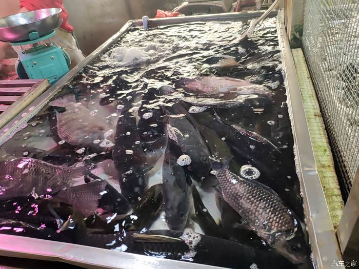 知足常乐平凡的生活开车去菜市场买鱼做红烧鱼煲金针菇