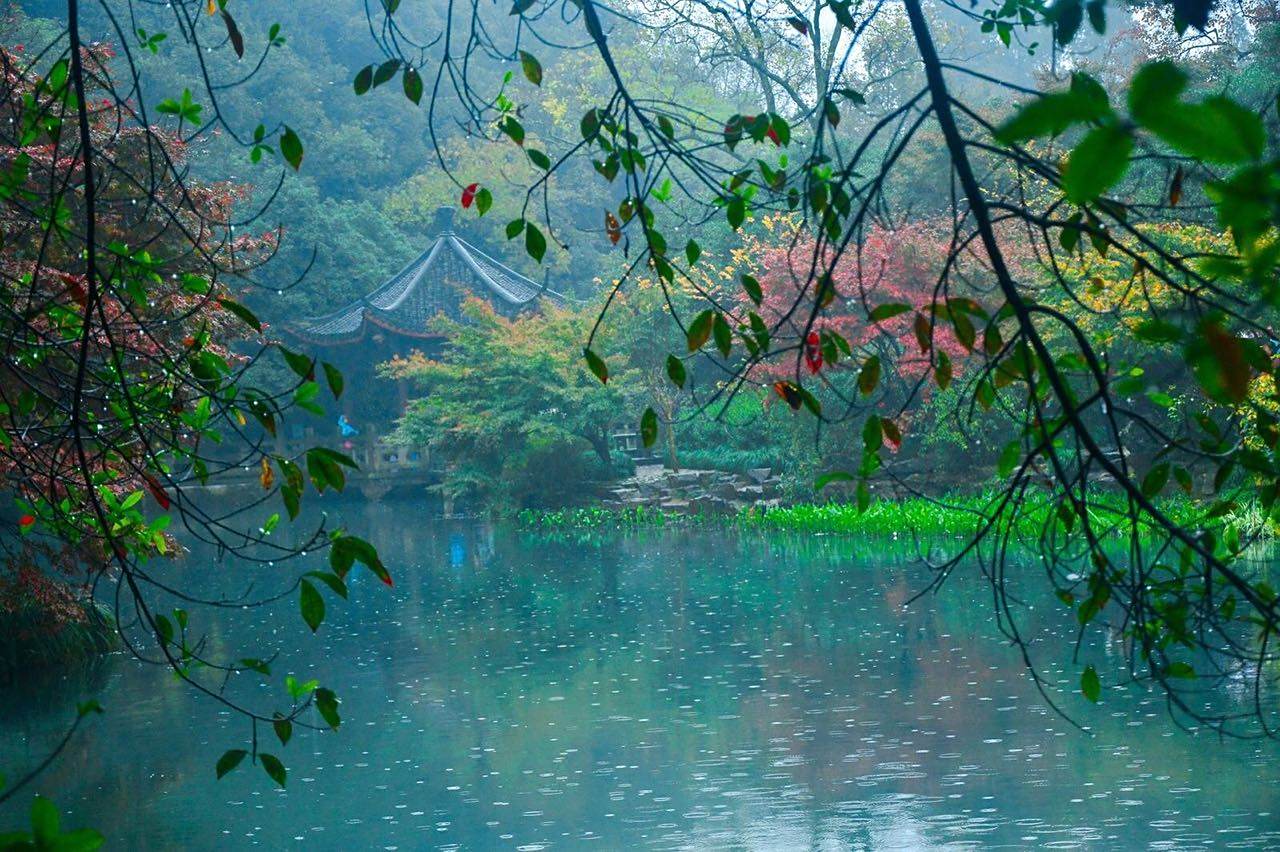 夏雨初晴美景的图片图片