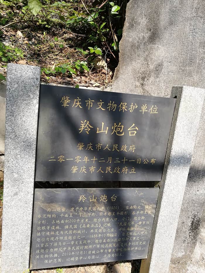 爱车分享我和轩逸纯电那些用车故事