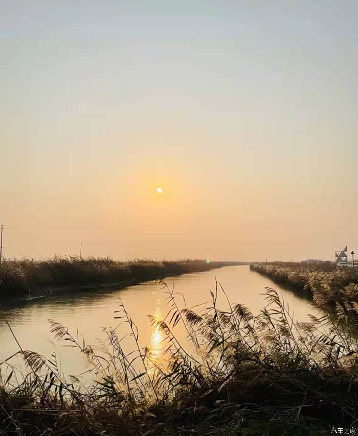 《双旦大征集-图文》周末放松打卡南矶山候鸟景观区