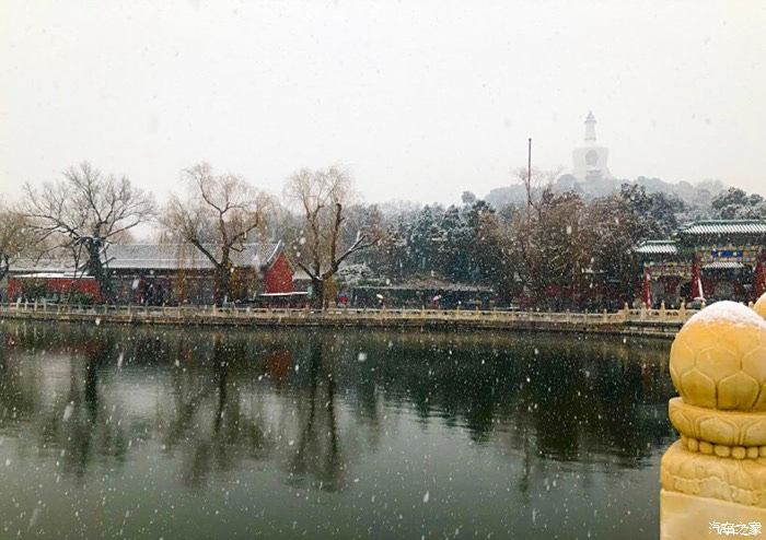 北海公園賞雪景【終於下雪了,真的好美】