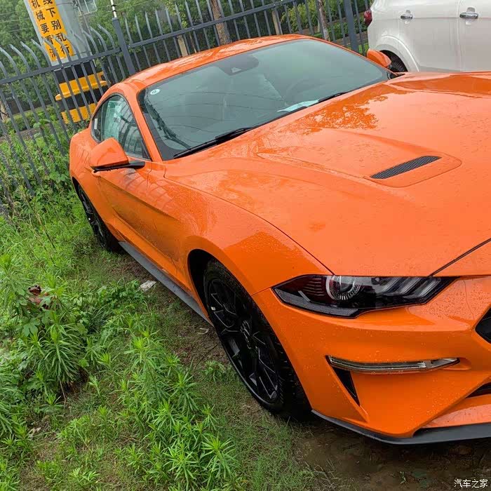 【福特·mustang】真香现场,是心动啊!