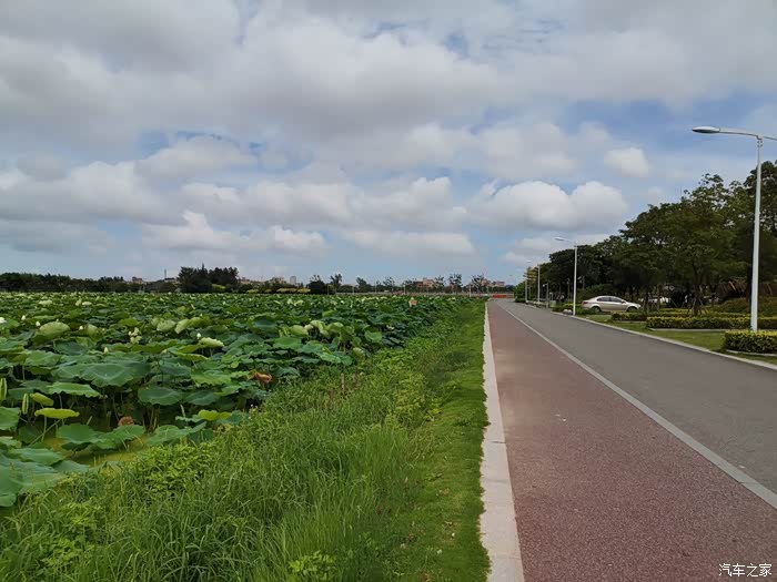 【图】石狮湿地公园走起,来一场说走就走的旅行_自驾游论坛_汽车之家