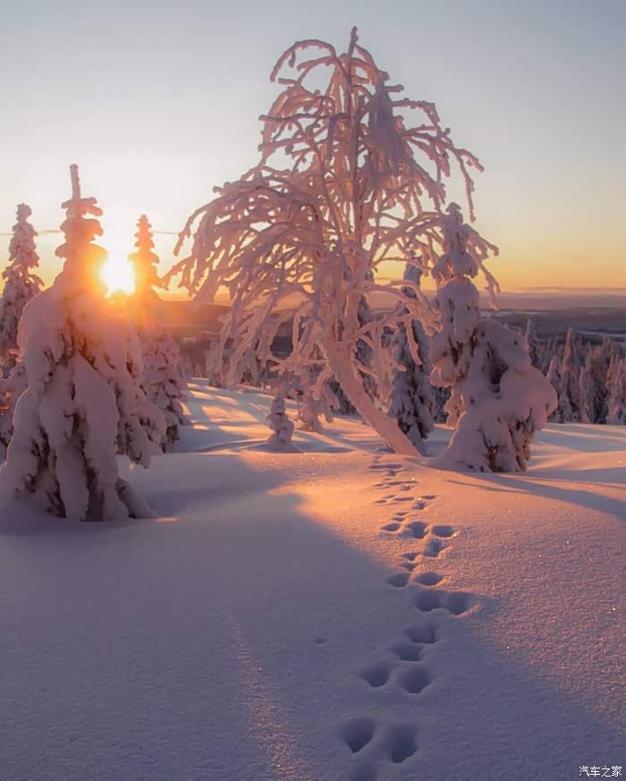 下雪的冬天,总是这么浪漫.