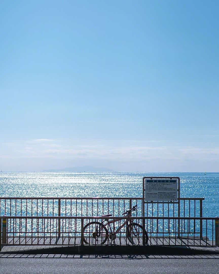 镰仓的海,这个地方连海风都很温柔.