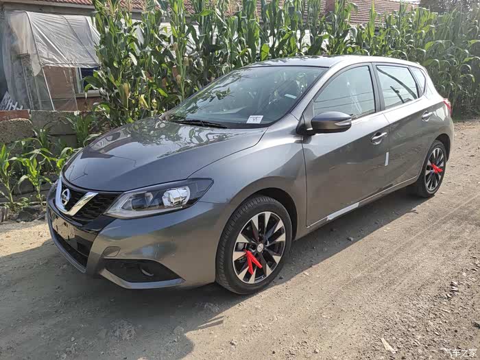 入坑骐达19智尊钨钢灰