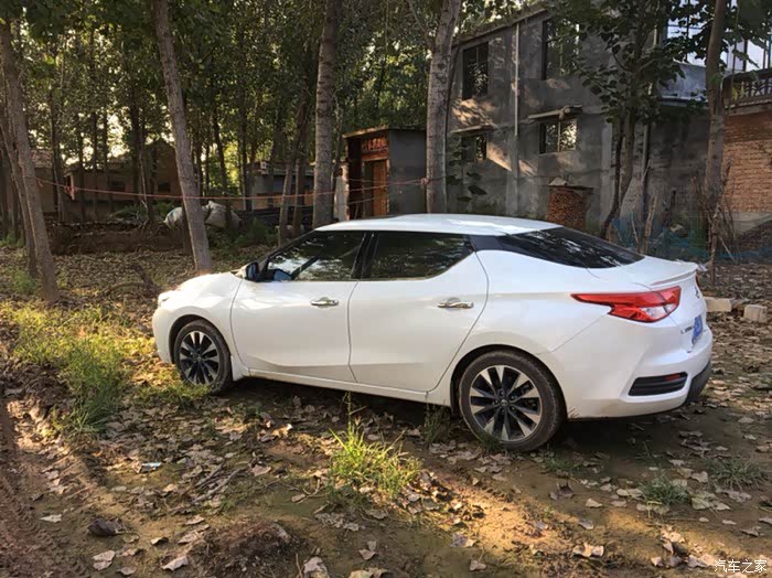 96车小白纠结于蓝鸟与轩逸之间,请指教!