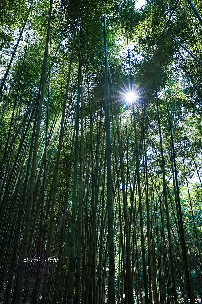 【图】【激浪一夏·车生活】在重庆的逃离火炉之一:梁平百里竹海