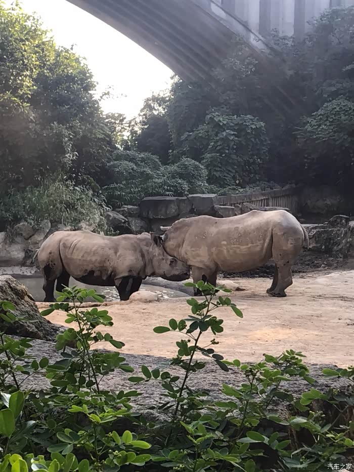 [贺中秋·迎国庆]特地去温州动物园一日游
