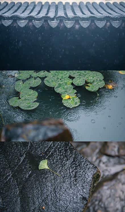 雨晴烟晚,绿水新池满