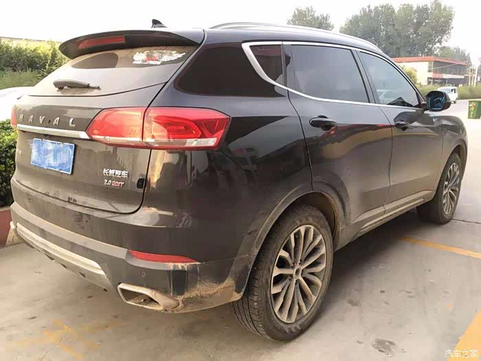 给黑金刚洗个澡