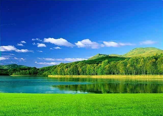 一切都是那么美,美好的世界.