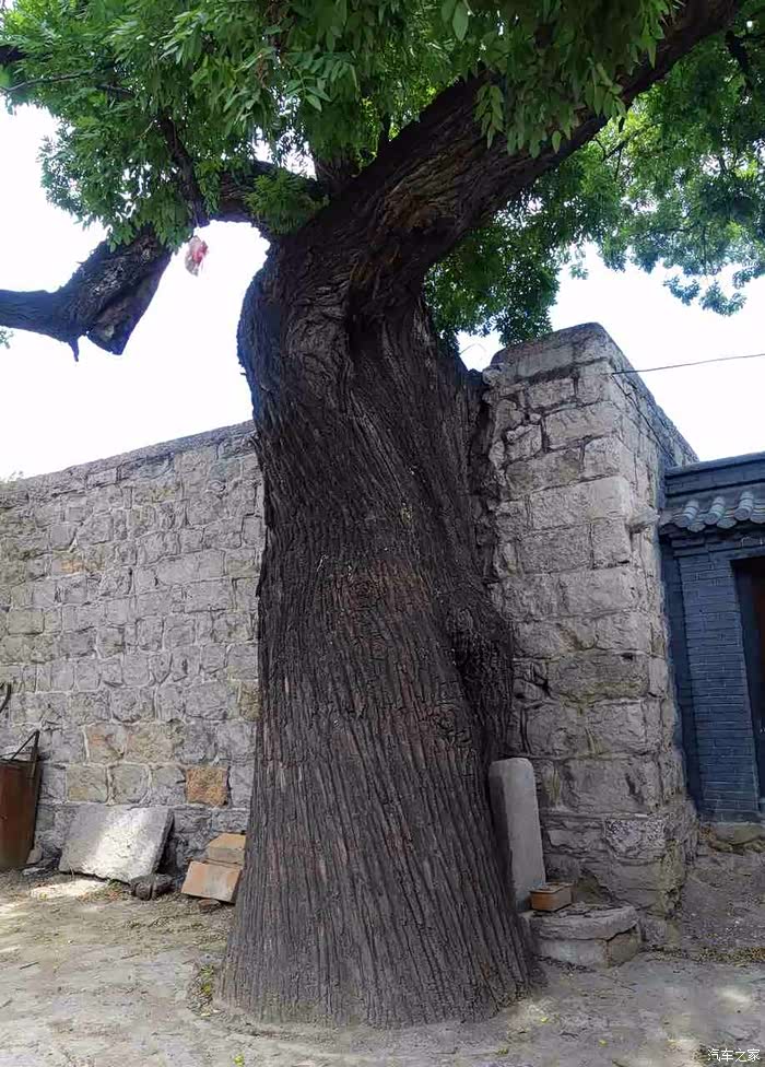 预览井陉旅发大会古镇核桃园村