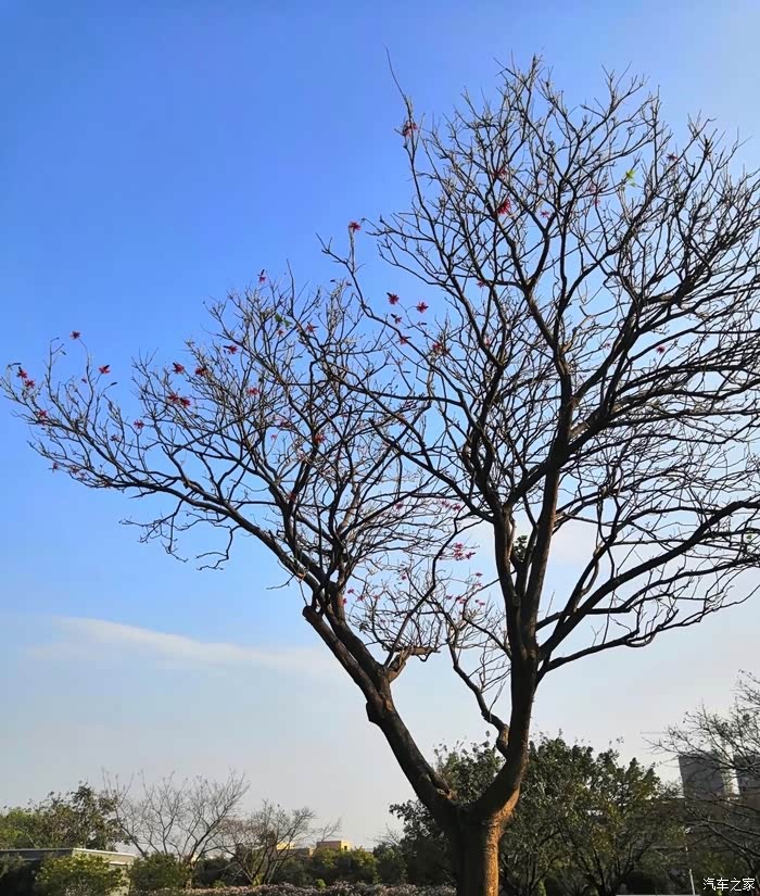 18:06:12 【万物复苏送福利】小鹏车主带你游陈白沙广场 白沙公园位于