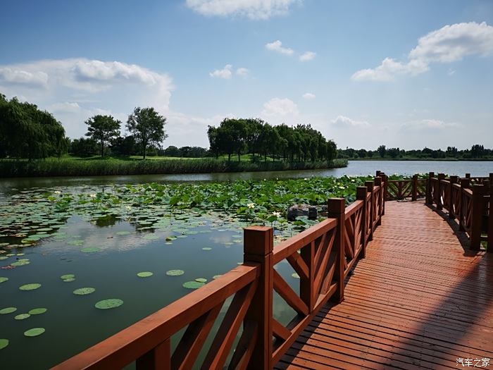 美麗的唐山南湖公園