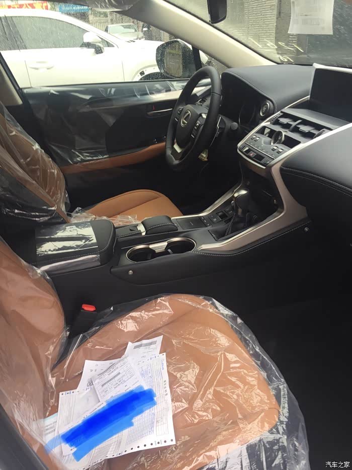 有哪位买了18款nx300选了赭石晶棕色的内饰呢