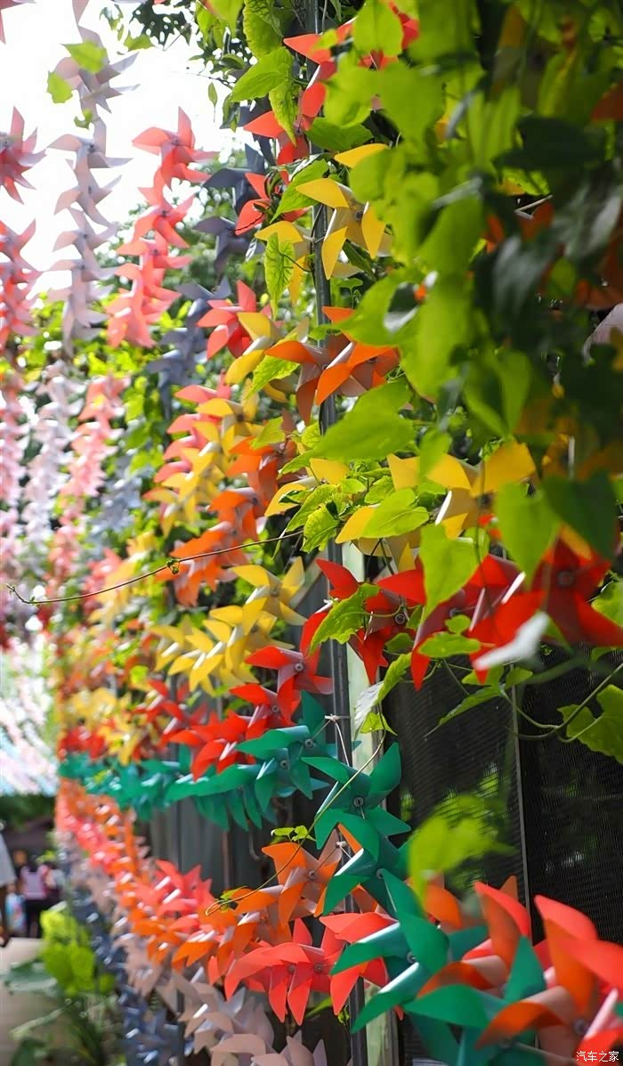 深圳长安车友会517小鹿观澜山水田园赏客家文化