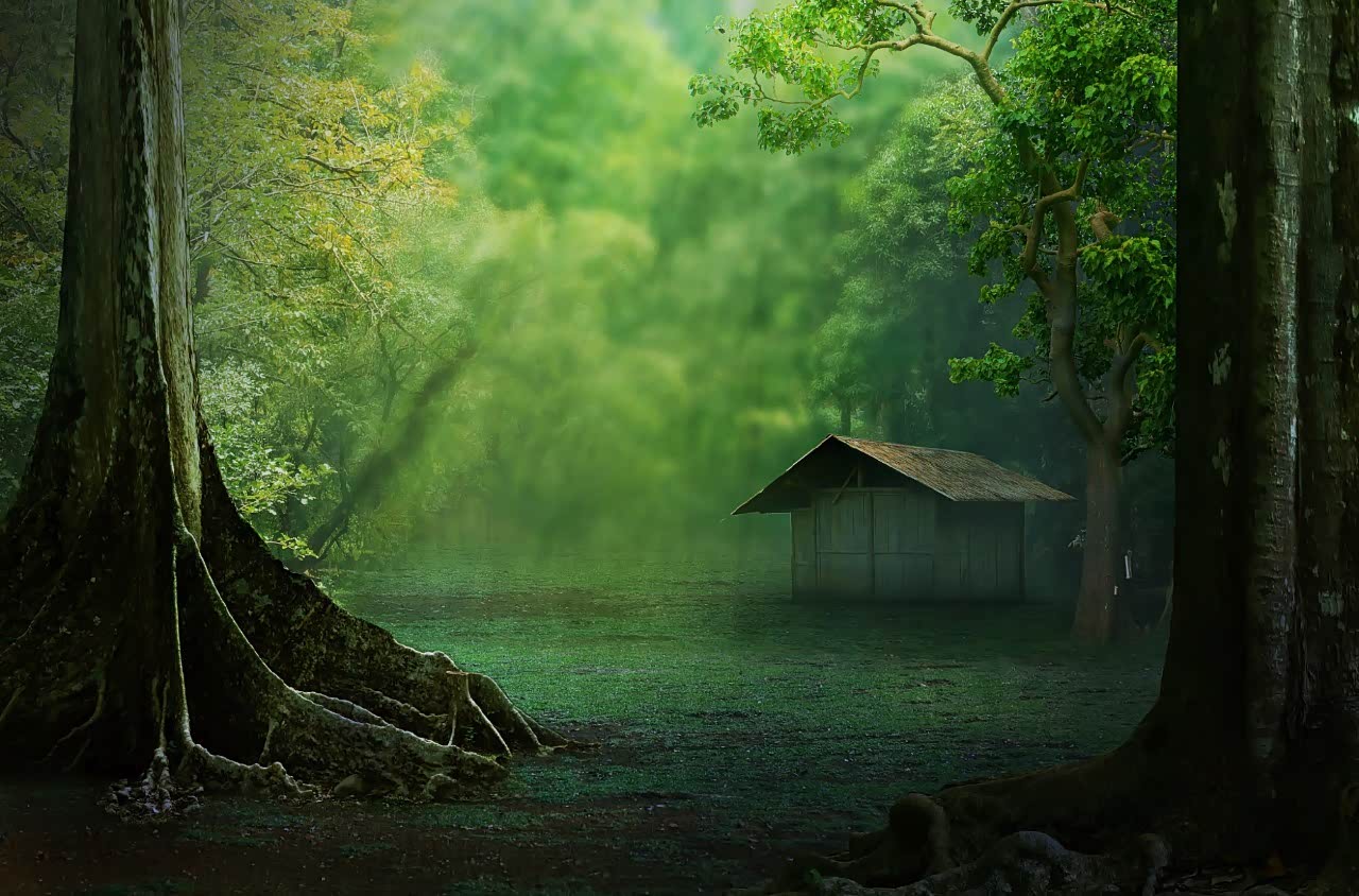 最美的归隐山林,大概如此.