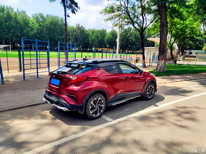 绿茵树下好乘凉给力的奕泽红黑小钢炮