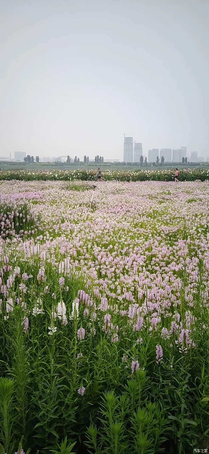 正定岔河放松心情