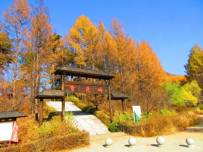 原生态风景区抚顺紫花岭