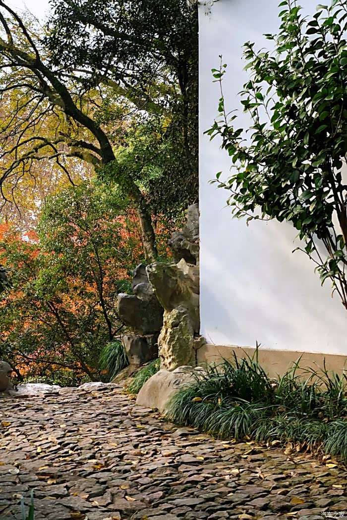 初冬西泠印社的景色很美让人留恋往返