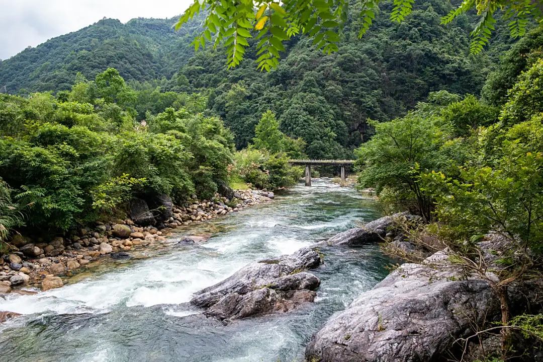 牯牛降,坐落在安徽石臺縣與祁門縣交界地帶,距離石臺縣城很近