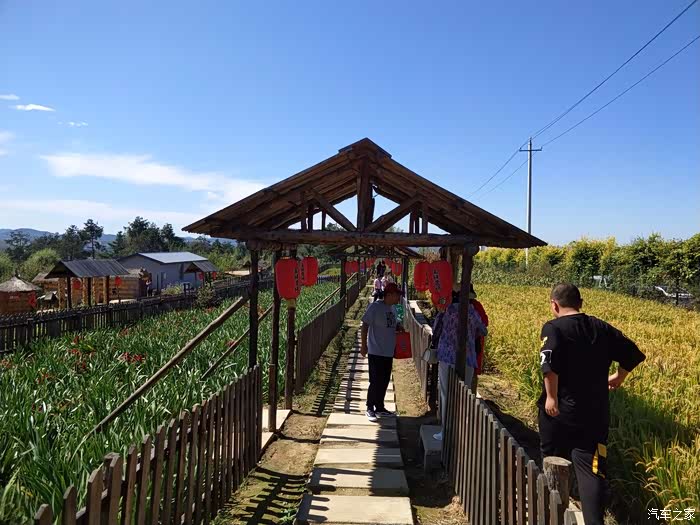 大75走进富饶农场感受农家氛围