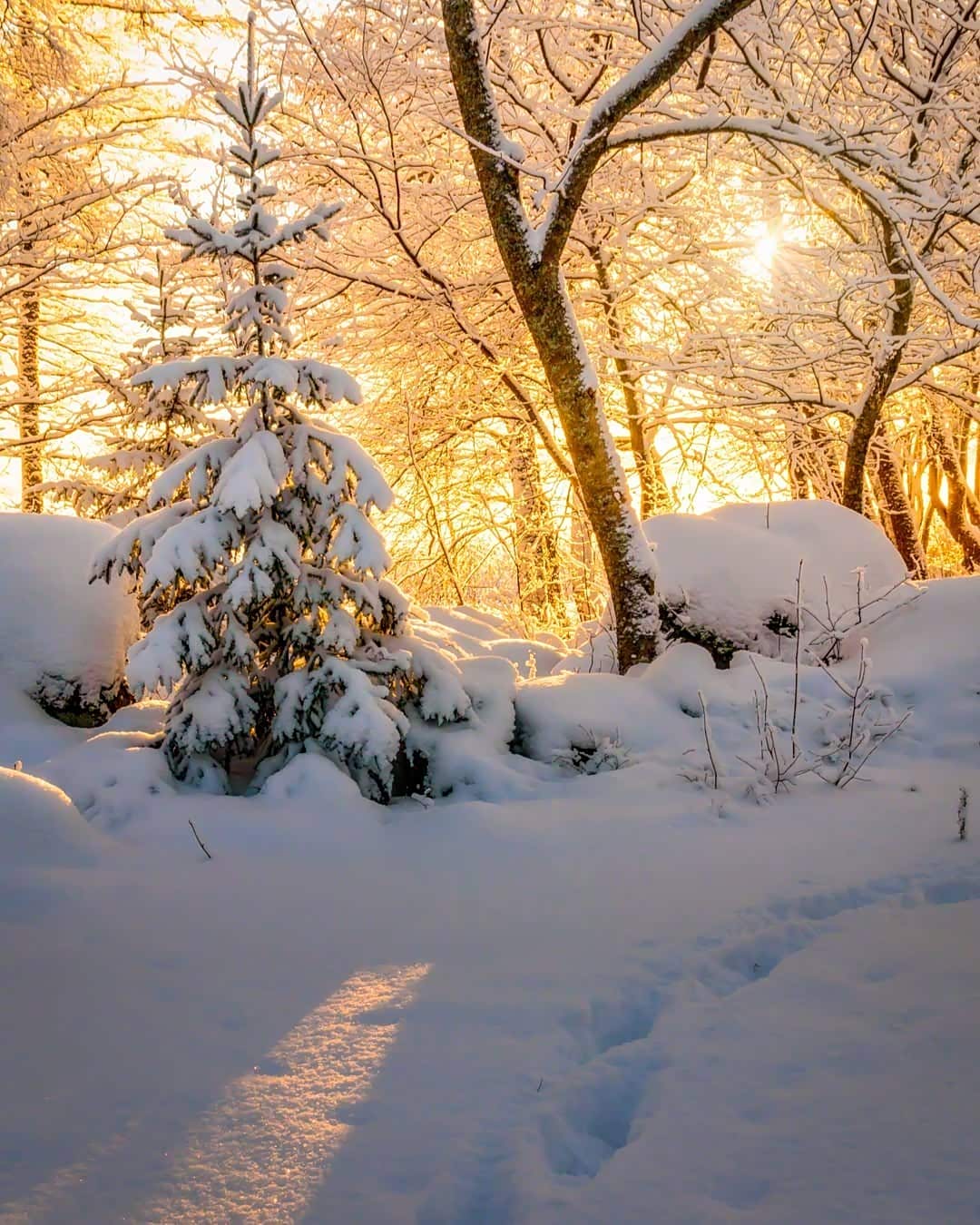 雪地里的阳光好耀眼闪亮.