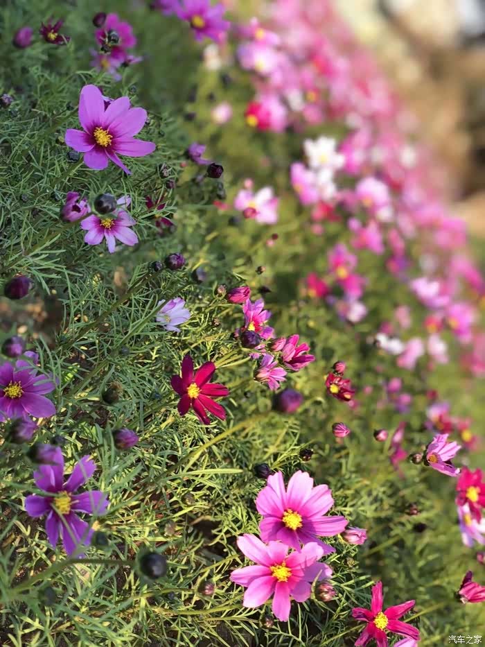 初春来临远景伴我烙上春天的印迹