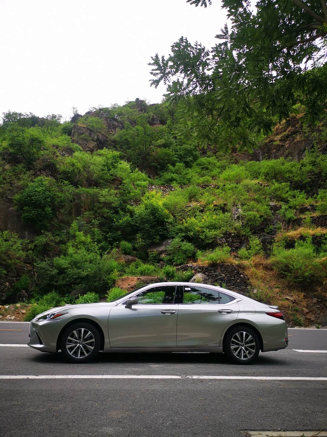 兴奋提车分享雷克萨斯es300h卓越超多美图