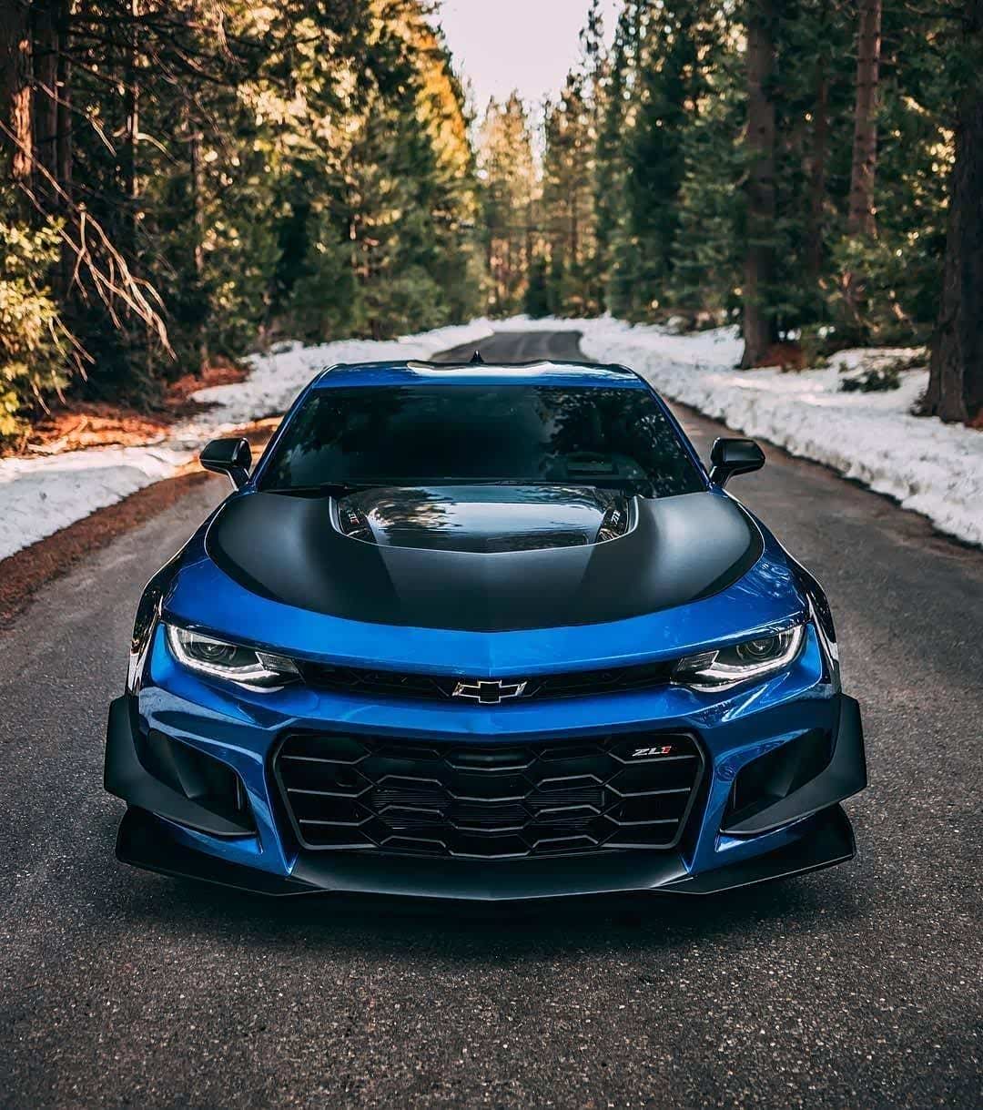 大狂蜂camaro zl1 1le
