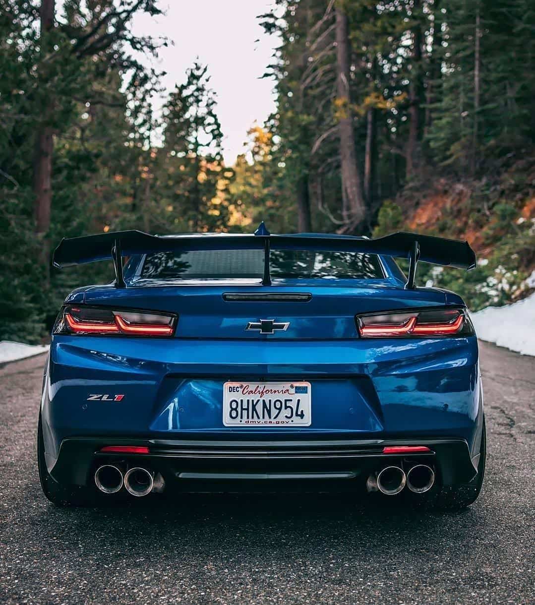 大狂蜂camaro zl1 1le