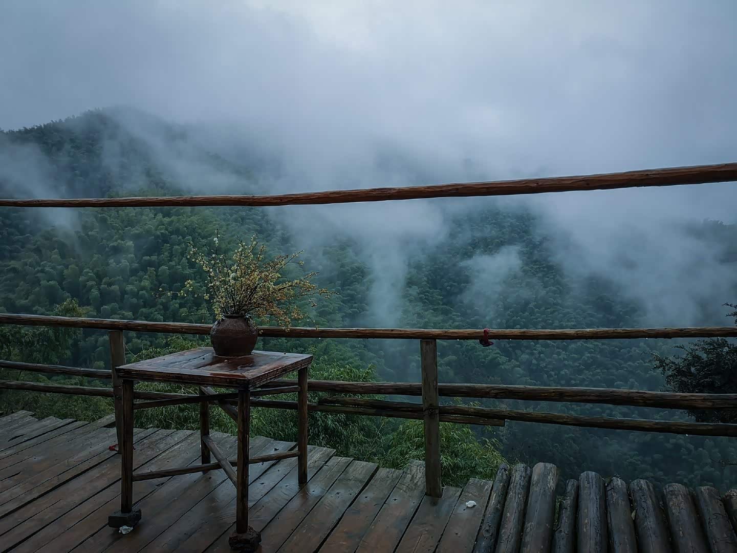 林泉住清幽,正是安身处 …?